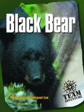 Black Bear - Team Adventure Simulation