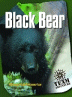 Black Bear - Team Advenute Simulation